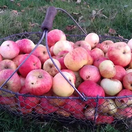 La Ferme Du Clos Giot *